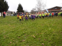 cross 2
