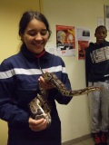 serpent10