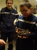 serpent2