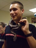 serpent3