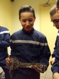 serpent4