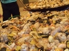paella 1
