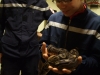 serpent2
