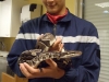 serpent6
