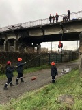 IMG_1328